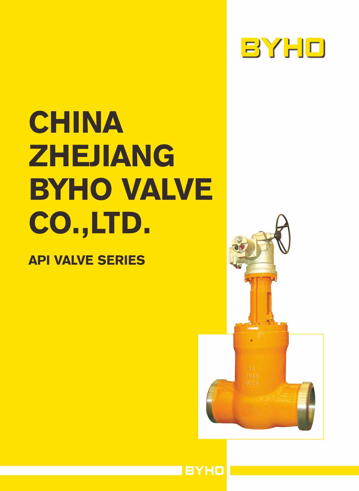 柏亨閥門《API Valve Series》